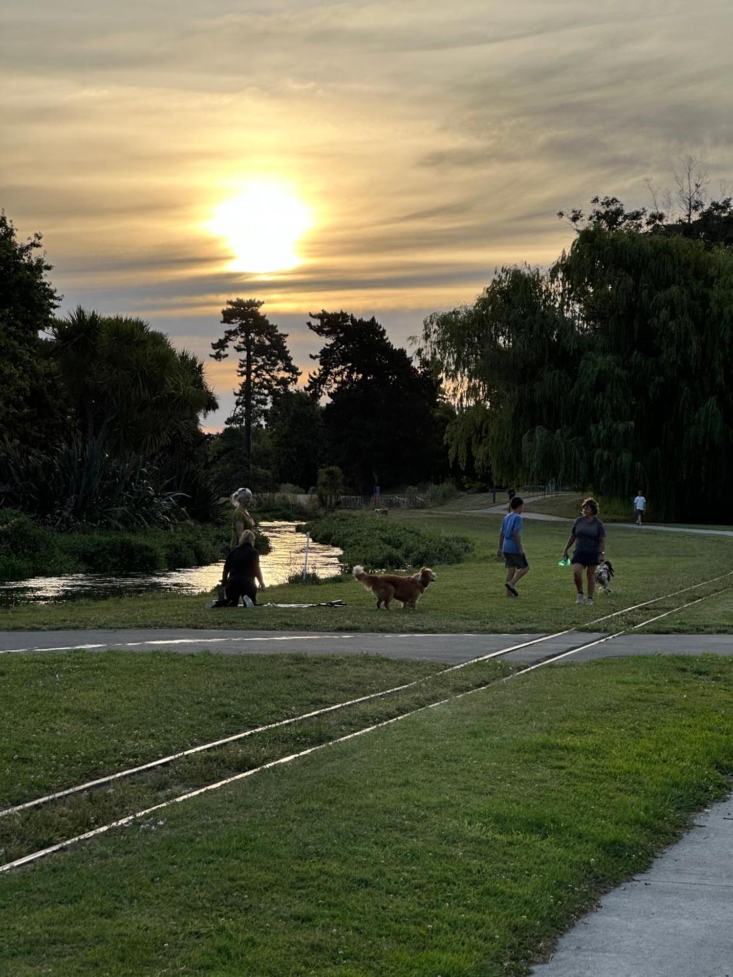 River Cottage Blenheim Zewnętrze zdjęcie